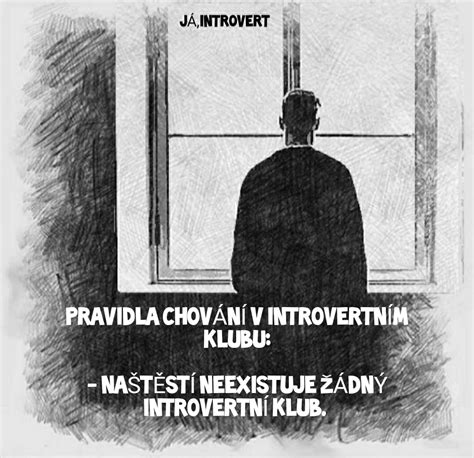 introvert bez ptel|Introvertní matka bez přátel